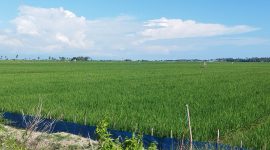 Istimewa/Nomor Satu Kaltim