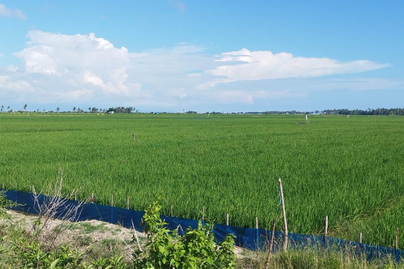 Istimewa/Nomor Satu Kaltim