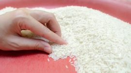 Istimewa/ilustrasi beras/detikcom